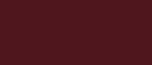 ABSB 72781/OHNE U17054 SD 28/0,8