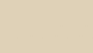 ABS Y301 FS08 - Capuccino 22 x 0,5 mm