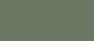 ABSB 141343/OHNE/LPE05 Smoke Green K521 SU 64/0,8