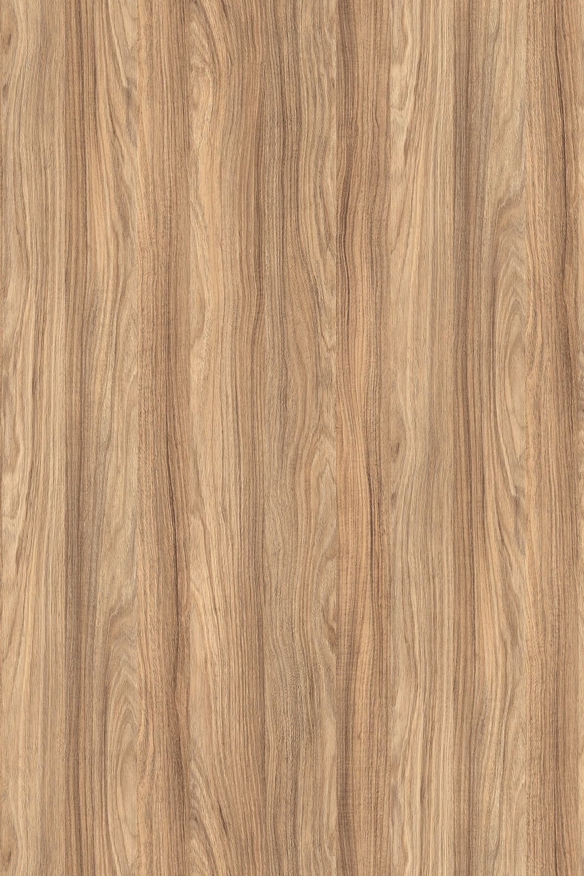 DTDL K021 SN BU Barley Blackwood 2800/2070/18 1 DTDL K021 SN BU Barley Blackwood 2800/2070/18