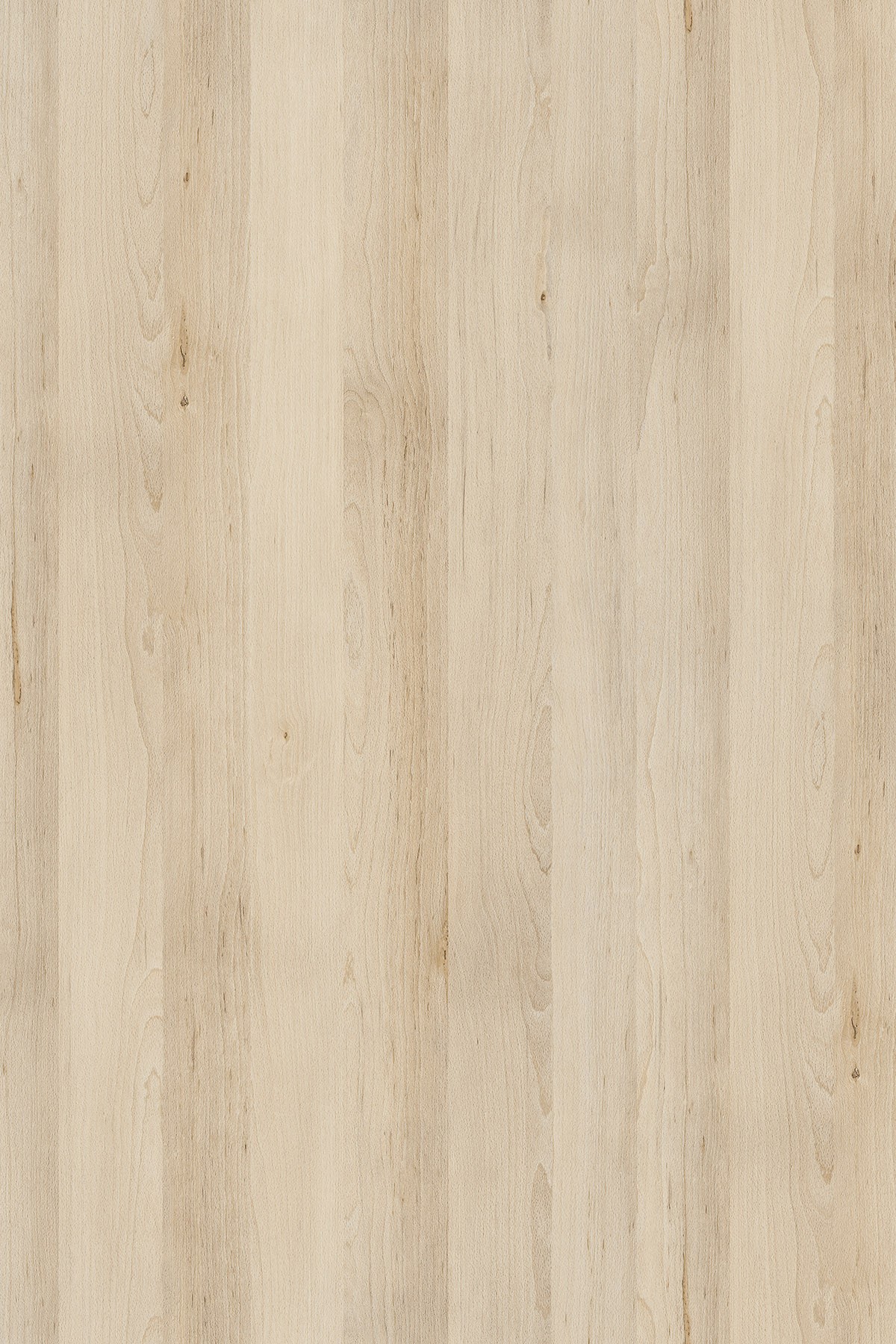 DTDL K012 SU BU Pearl Artisan Beech 2800/2070/18 1 DTDL K012 SU BU Pearl Artisan Beech 2800/2070/18
