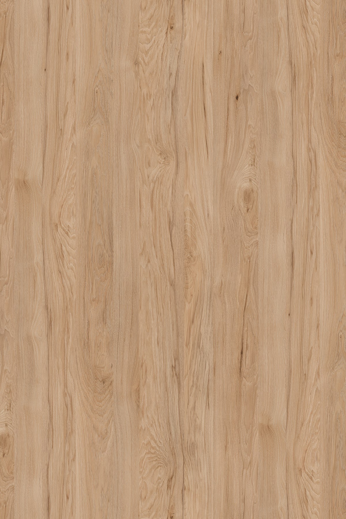 DTDL K086 PW BU Natural Rockford Hickory 2800/2070/25 1 DTDL K086 PW BU Natural Rockford Hickory 2800/2070/25