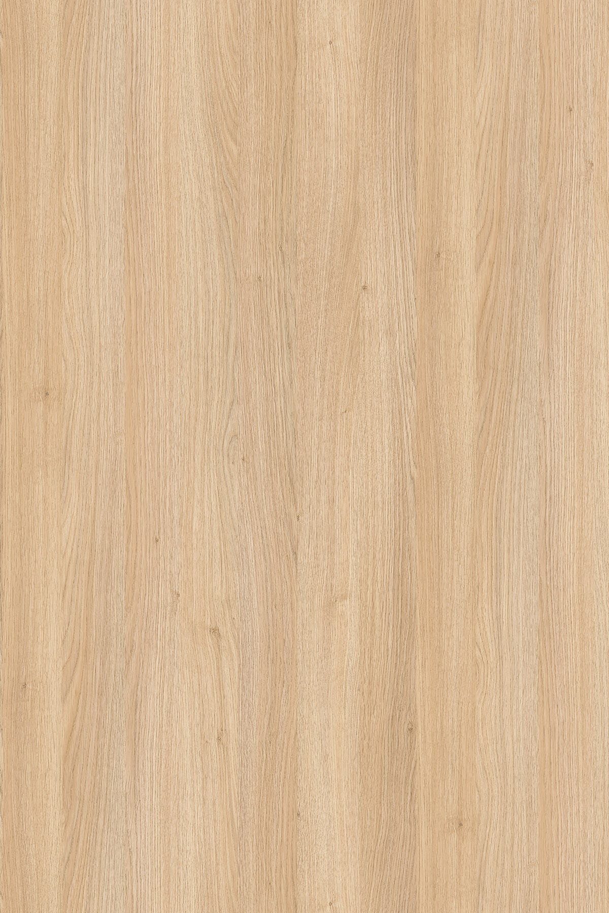 DTDL 8431 SN BU Fine Oak 2800/2070/25 1 DTDL 8431 SN BU Fine Oak 2800/2070/25