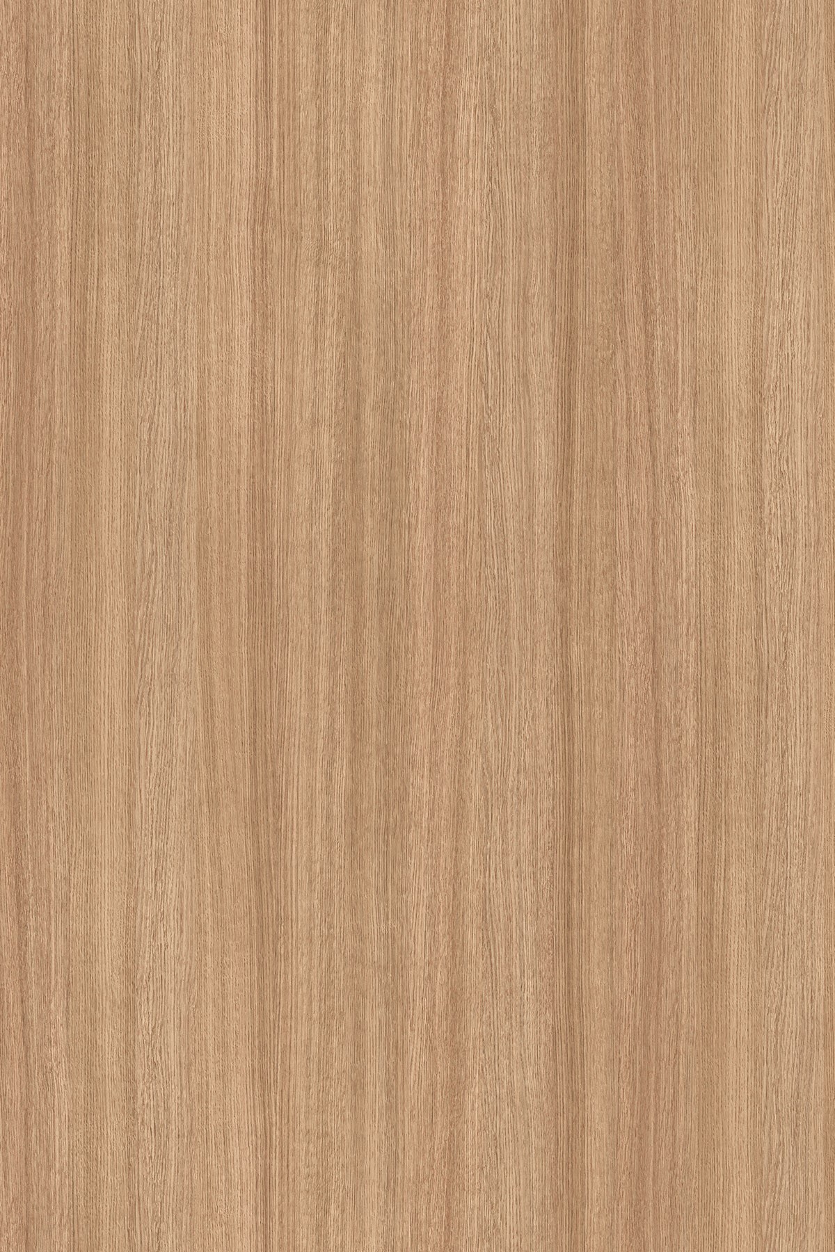 DTDL 5501 SN BU Slavonia Oak 2800/2070/16 1 DTDL 5501 SN BU Slavonia Oak 2800/2070/16