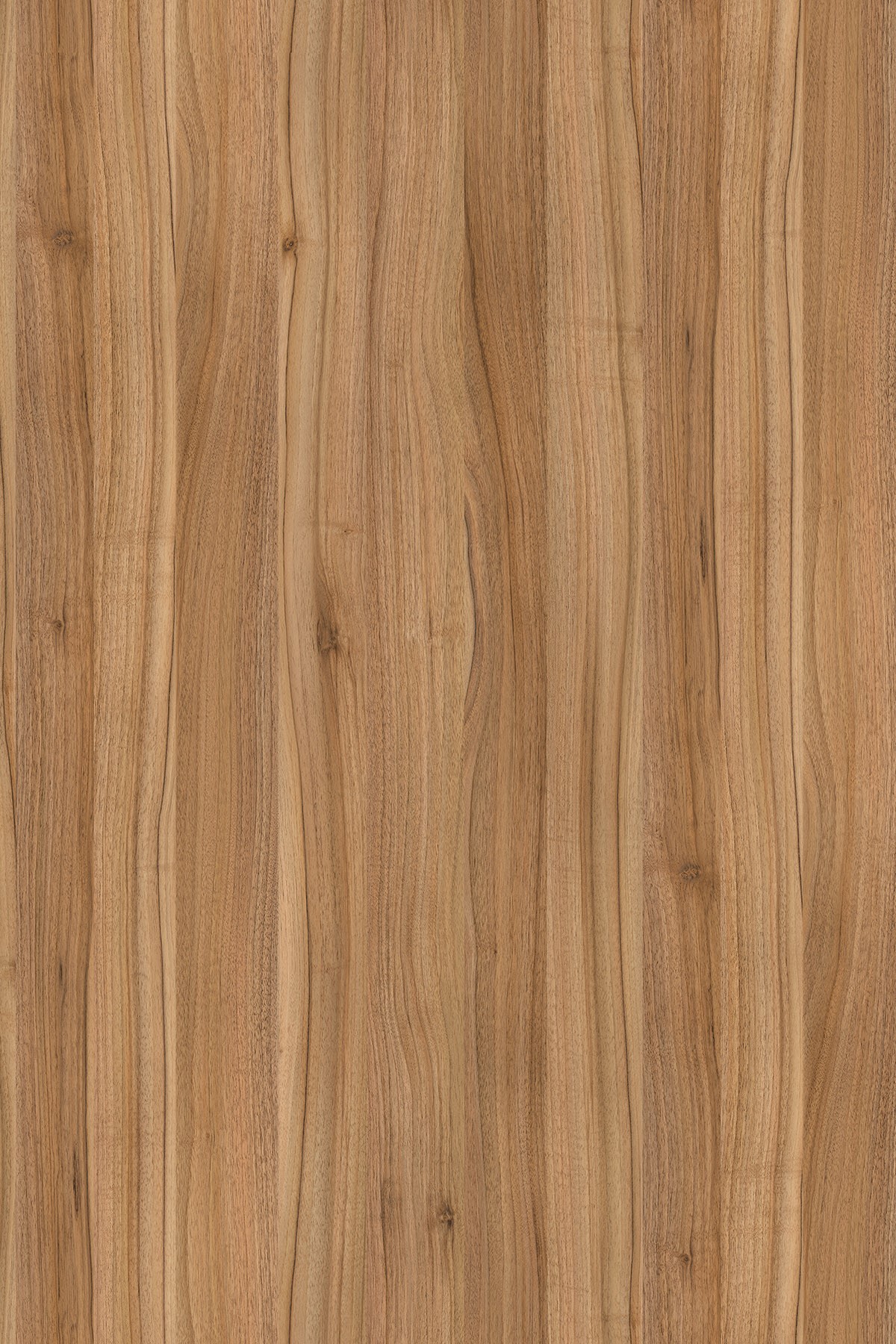DTDL 9614 BS BU Alpine Walnut 2800/2070/18 1 DTDL 9614 BS BU Alpine Walnut 2800/2070/18