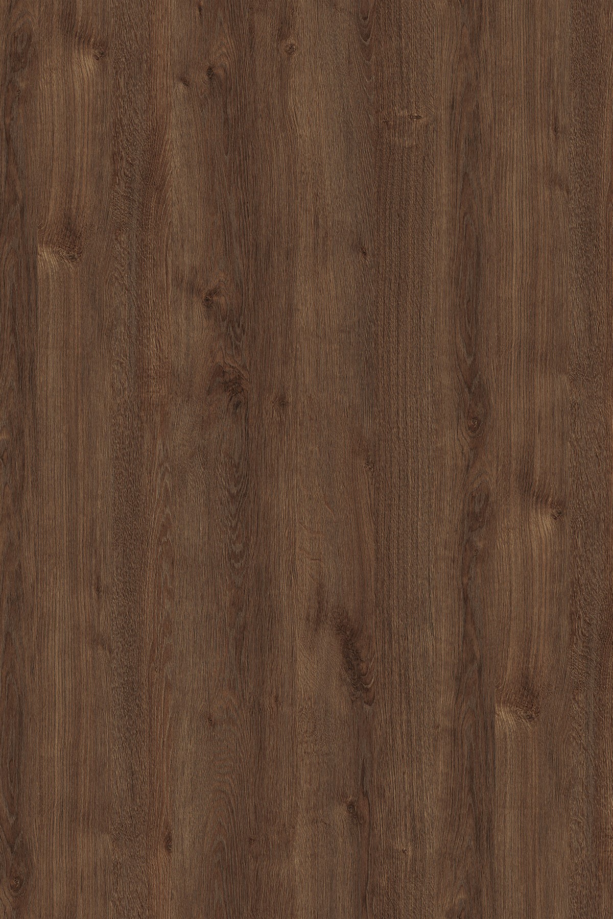 DTDL K090 PW BU Bronze Expressive Oak 2800/2070/18 1 DTDL K090 PW BU Bronze Expressive Oak 2800/2070/18
