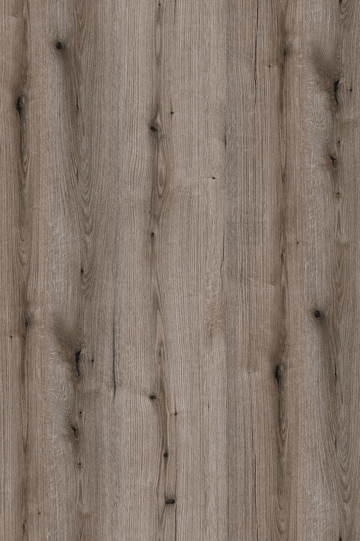 DTDL K366 PW BU Fossil Evoke Oak 2800/2070/18 1 DTDL K366 PW BU Fossil Evoke Oak 2800/2070/18