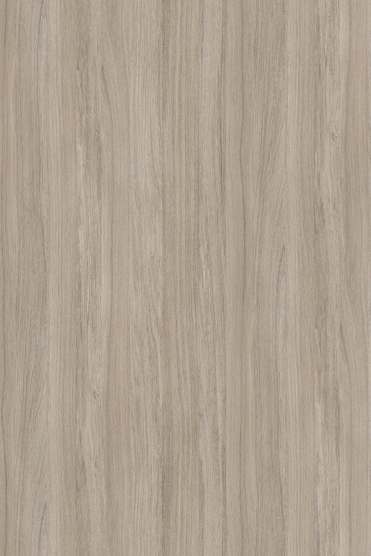 DTDL K005 PW BU Oyster Urban Oak 2800/2070/25 1 DTDL K005 PW BU Oyster Urban Oak 2800/2070/25
