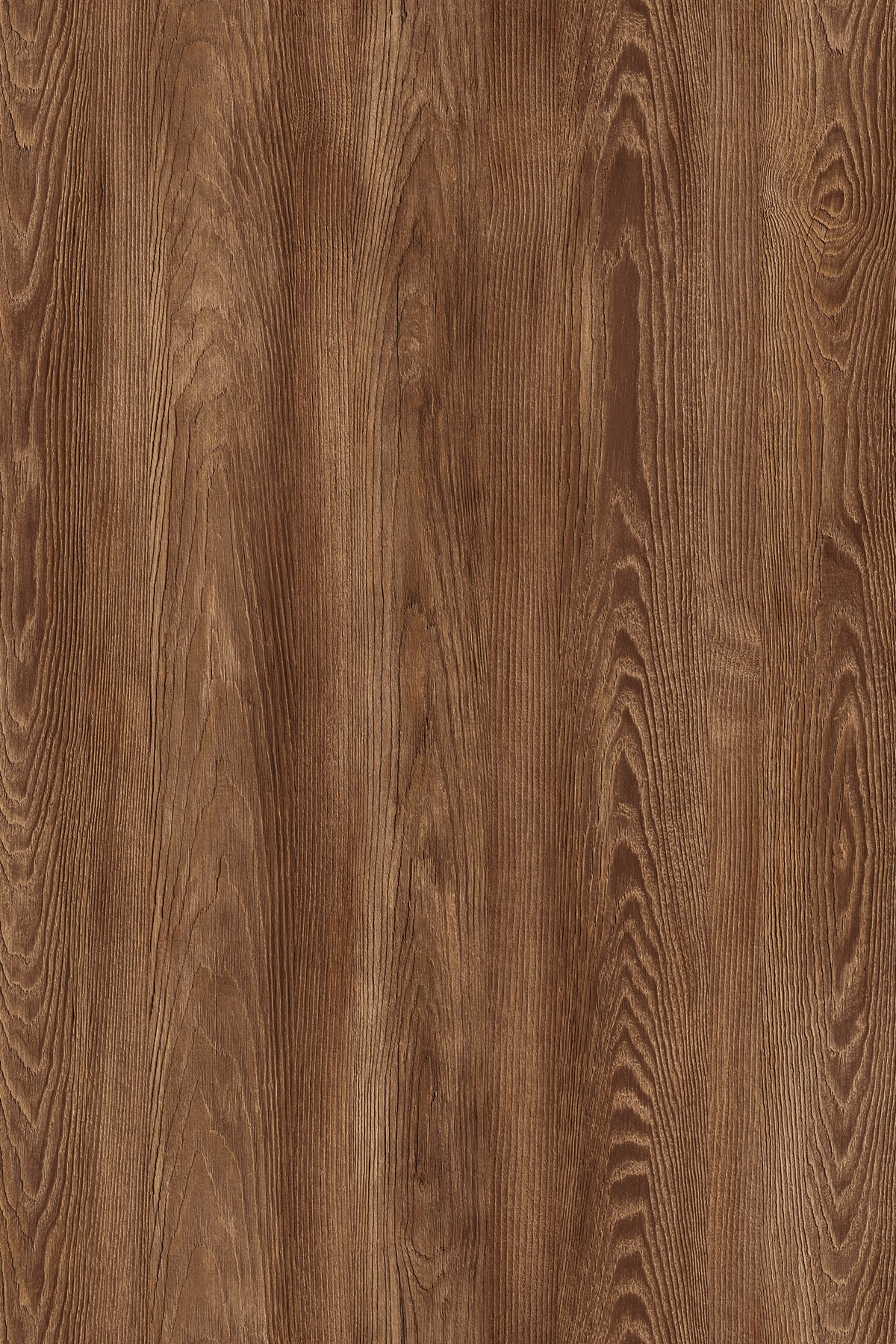 DTDL K532 AD BU Flamed Arvadonna Chestnut 2800/2070/18 1 DTDL K532 AD BU Flamed Arvadonna Chestnut 2800/2070/18