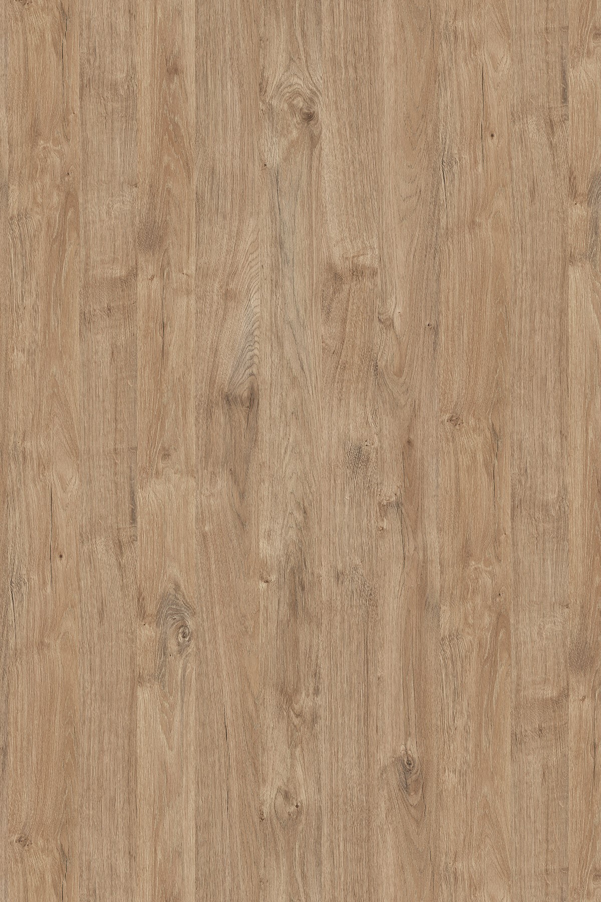 DTDL K361 PW BU Gold Harbor Oak 2800/2070/18 1 DTDL K361 PW BU Gold Harbor Oak 2800/2070/18