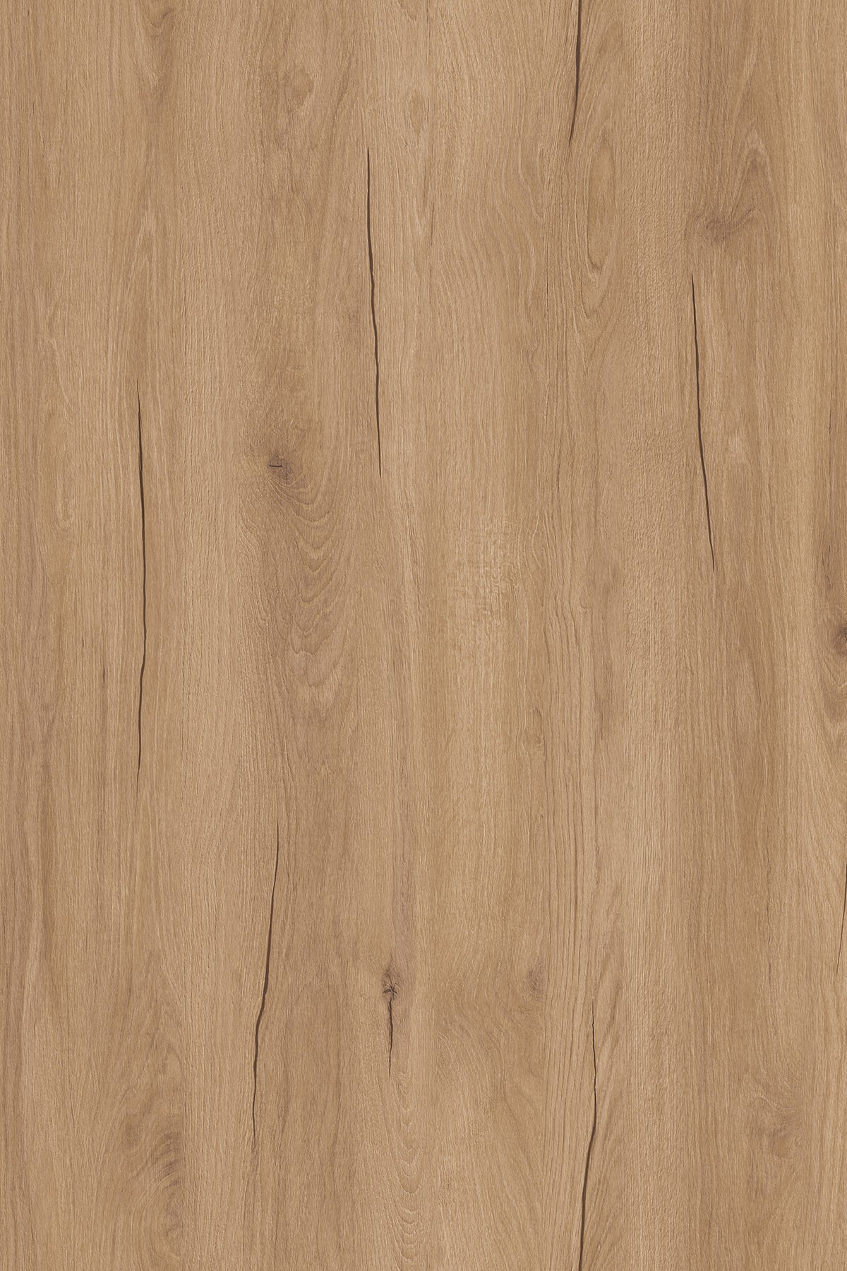 DTDL K529 HU BU Gold Hudson Oak 2800/2070/18 1 DTDL K529 HU BU Gold Hudson Oak 2800/2070/18