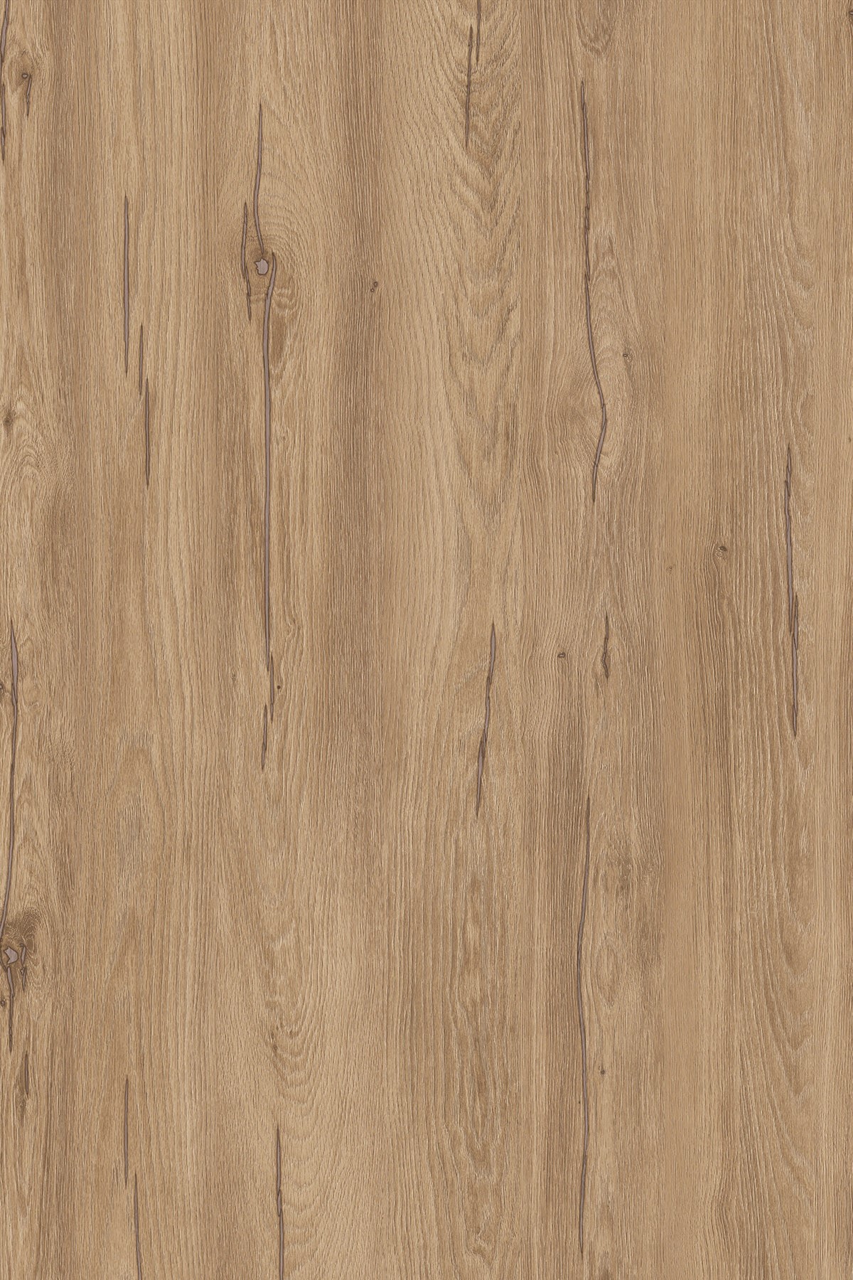 DTDL K544 RW BU Hazel Silverjack Oak 2800/2070/25 1 DTDL K544 RW BU Hazel Silverjack Oak 2800/2070/25