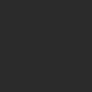 DTDL 166 BS BU Basalt 2800/2070/25