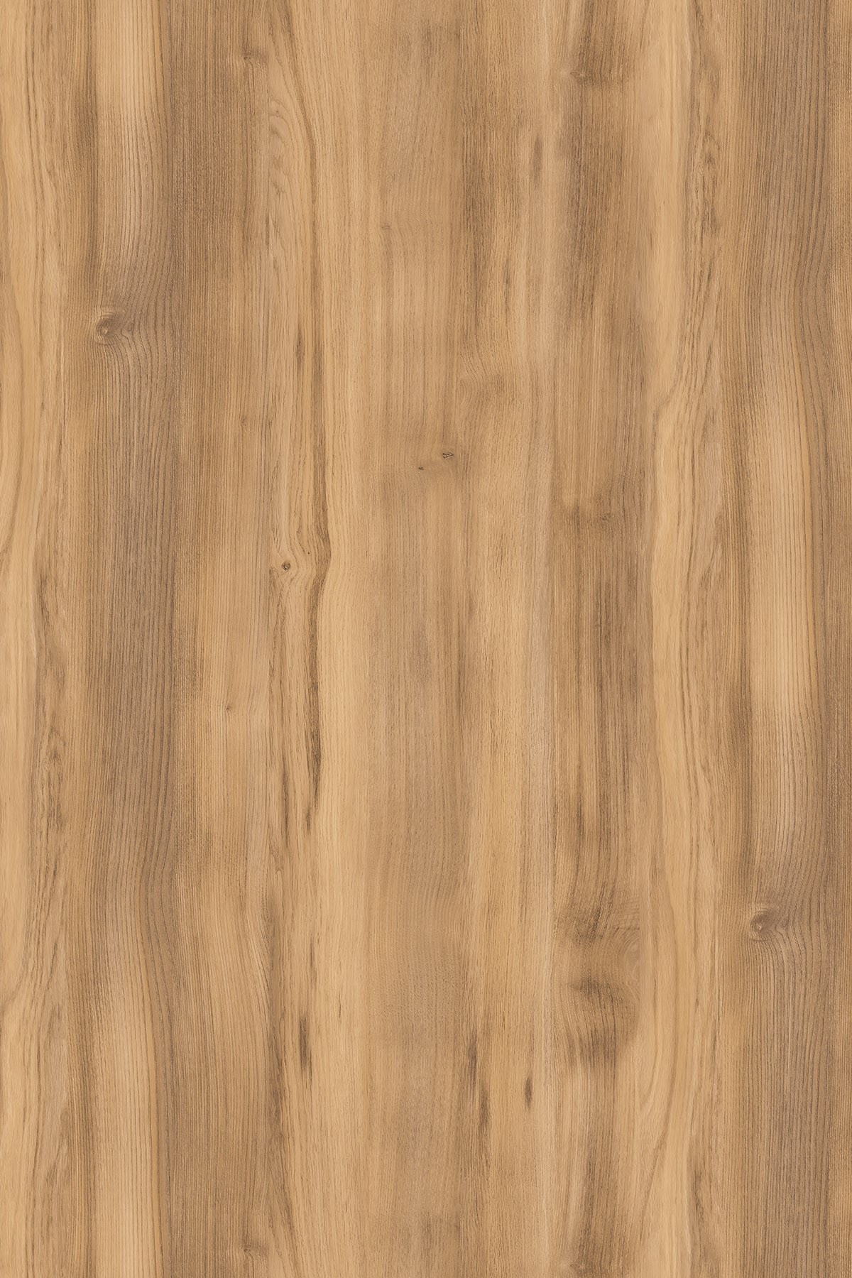 DTDL K535 RW BU Gold Baroque Oak 2800/2070/25 1 DTDL K535 RW BU Gold Baroque Oak 2800/2070/25
