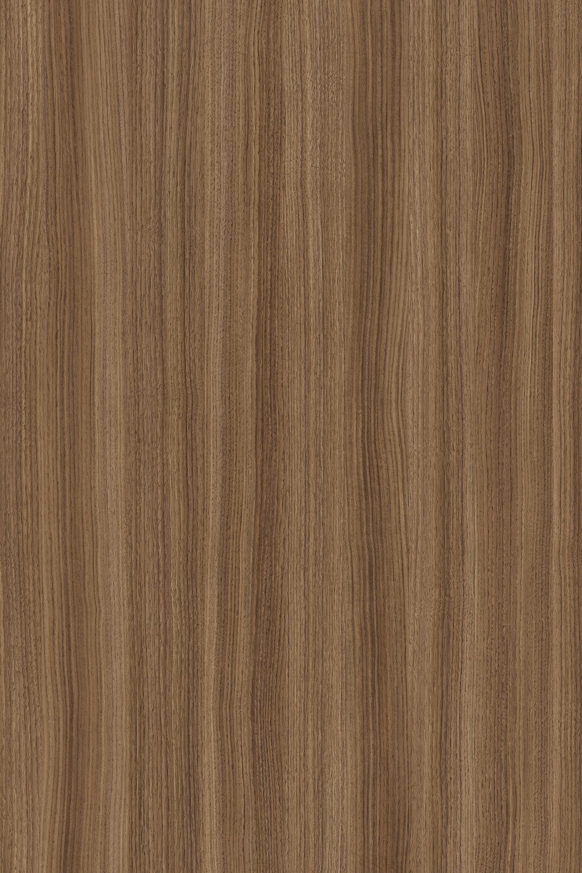 DTDL K546 RW BU Caramel Franklin Walnut 2800/2070/25 1 DTDL K546 RW BU Caramel Franklin Walnut 2800/2070/25