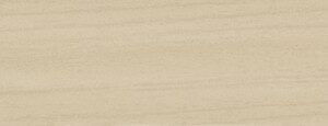 ABSB 4851/OHNE R27024 VV 22/0,4