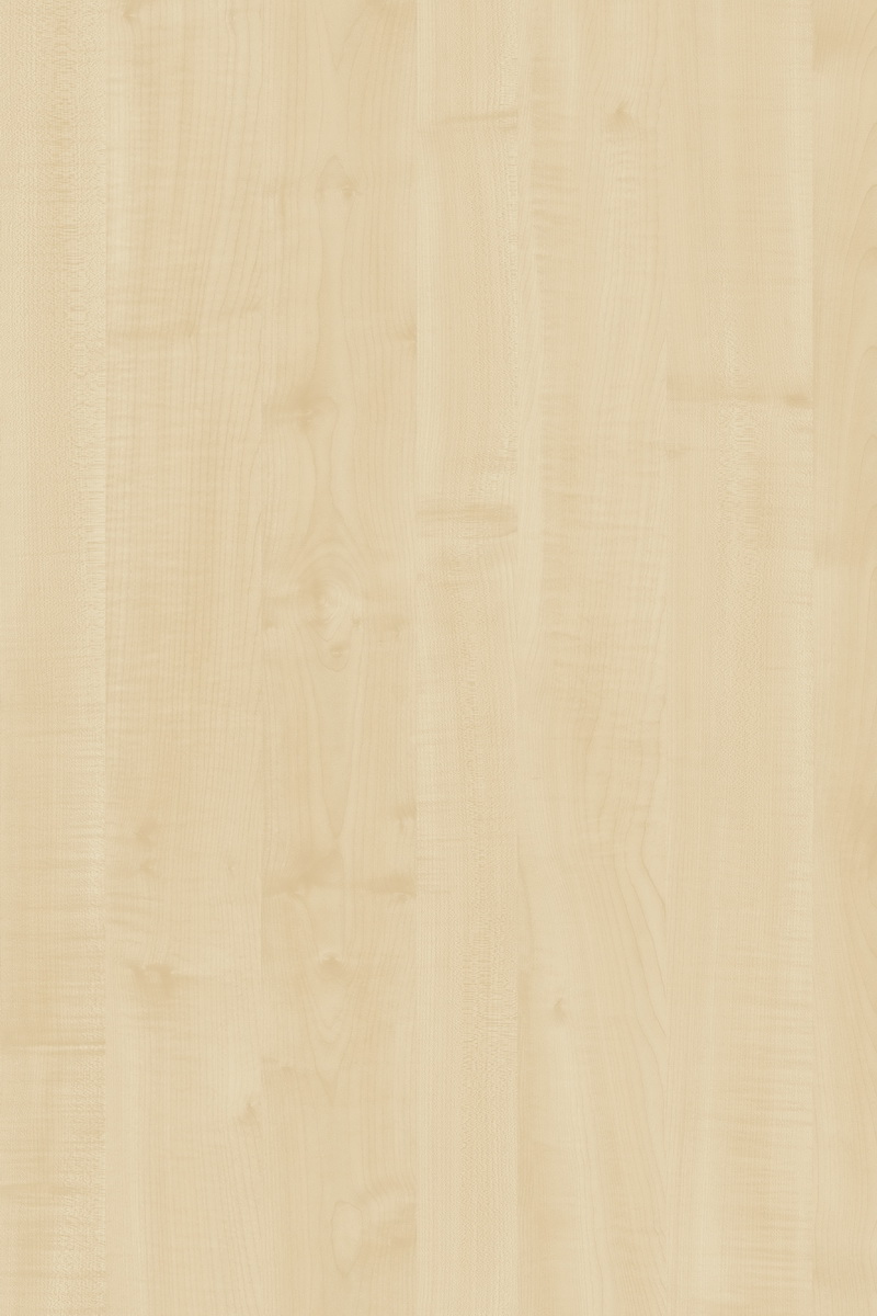 Y463 FS24 - European Maple, 2800 x 2070 mm 1 Y463 FS24 - European Maple, 2800 x 2070 mm