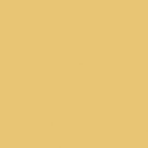 D173 PS13 - Light Yellow, 2800 x 2070 mm